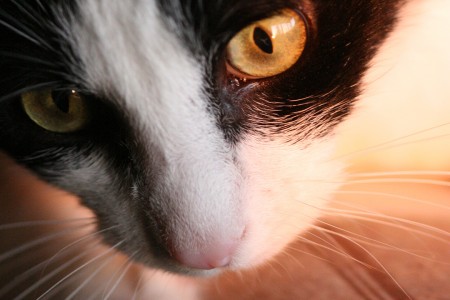 teaser referenz foto natur 10